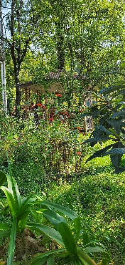 Villa Gelati Кутаиси Экстерьер фото